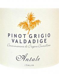 Antale Valdadige Pinot Grigio
