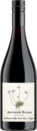 Anther & Bloom Willamette Valley Pinot Noir 2023