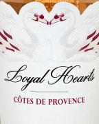 Loyal Hearts - Provence Rose 2021